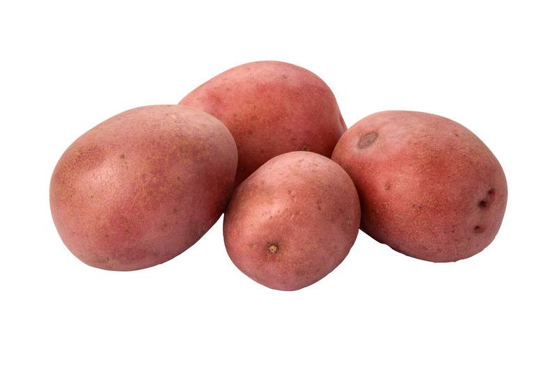 Aardappel – achtergrond